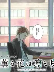 周末不打烊 热播综艺全集免费观看